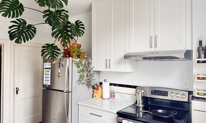 Trinity - Bellwoods House | Charming semi in the heart of Queen West