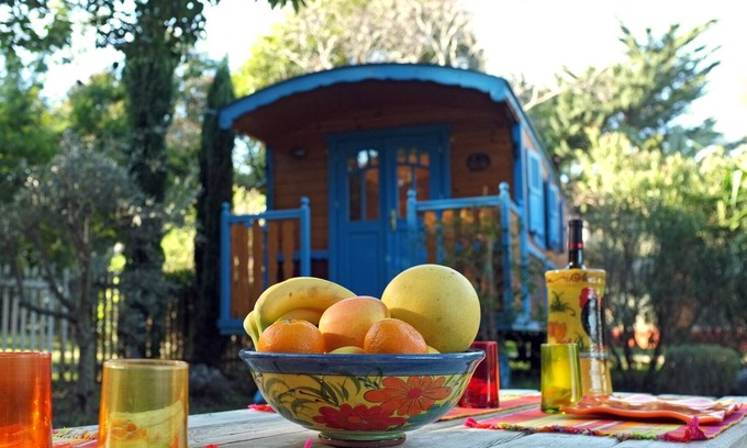 Saint-Jacques Cottage | Charming trailer in the countryside of the French Riviera