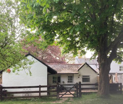 New Forest District House | Chestnut Cottage New Forest