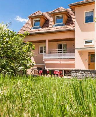 Breitenbach-Haut-Rhin Apartment | Chez Christian
