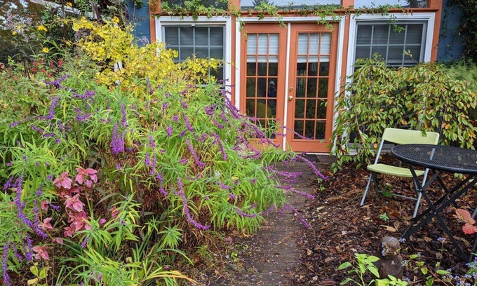 Candler Park Cottage | Chic Art Cottage in Historic Candler Park - Near Mulberry Fields, Close to City Buzz