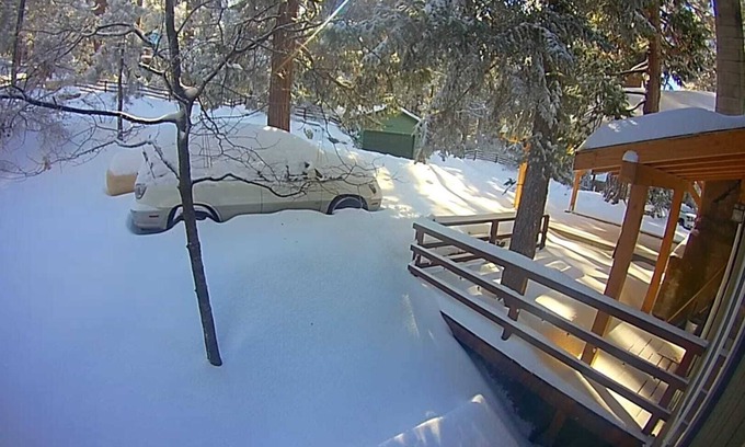 Pine Cove Cabin | Child- & Dog-friendly 3-Bedroom Eco-Cabin w/Fully Enclosed Yard & Late Check-Out