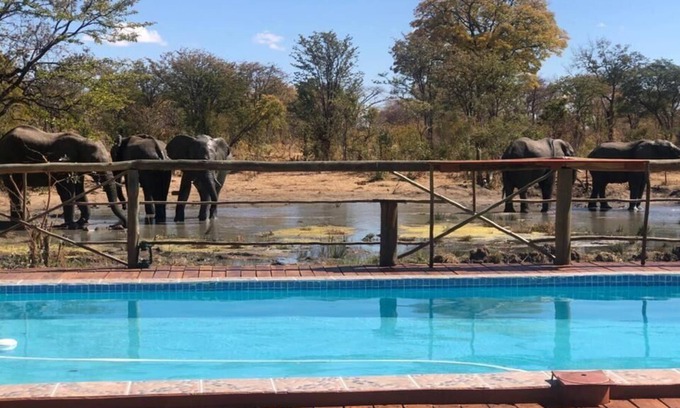 Chobe District Cabin | Chobe Mupani Forest Lodge