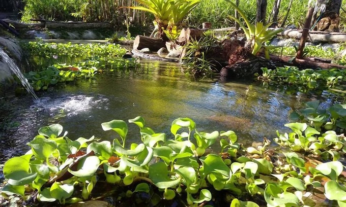 Puerto Jimenez Hotel | Chosa Manglar Nature Retreat