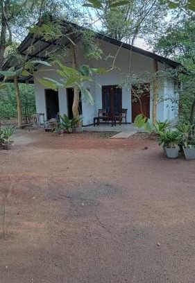Habarana Hotel | Cinnamon Eye
