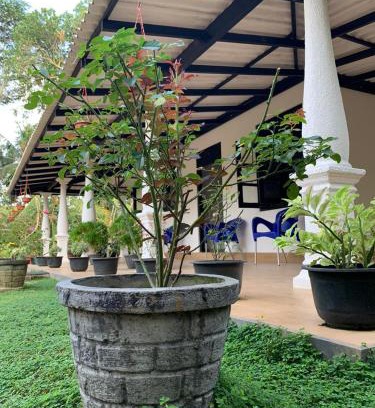 Ambalangoda House | Cinnamon Garten
