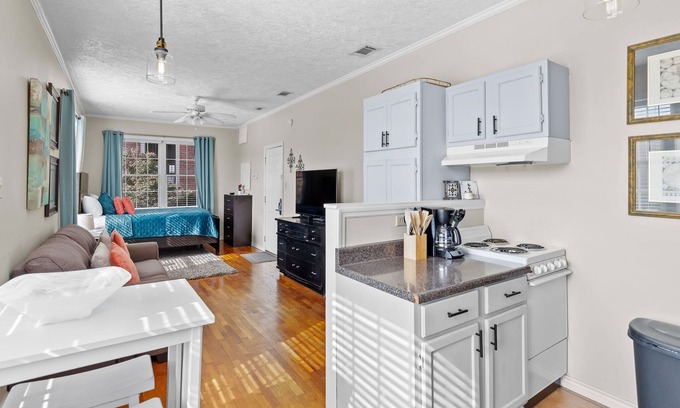 Auburn Apartment | Classic Loft in Downtown Auburn, Alabama! LOCATION!
