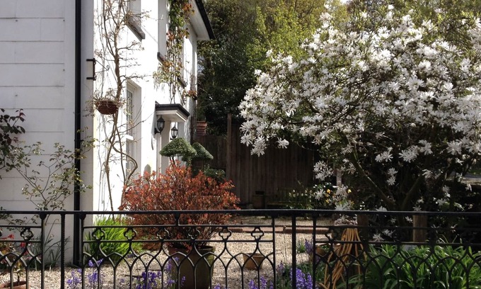 New Forest District Bed & Breakfast | Clayhill House Bed & Breakfast