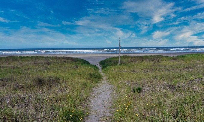 Grayland Cottage | CLEAN Beach Cottage + Beach Path!