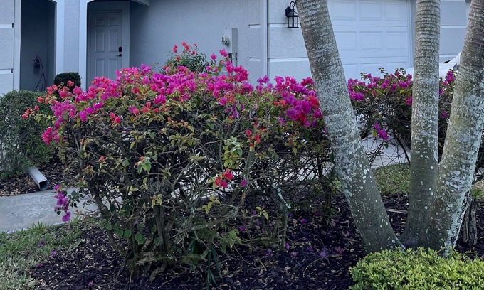 Heritage Palms Condo | Clean, Quiet, Close to beach, Heated pool & covered Lanai with attached garage