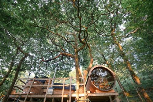 Bontddu Apartment | Clogau Tree House Hot tub &sauna