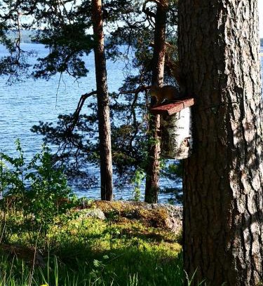 Jamsa Hotel | Club House Hotelli Kaipolan Ranta