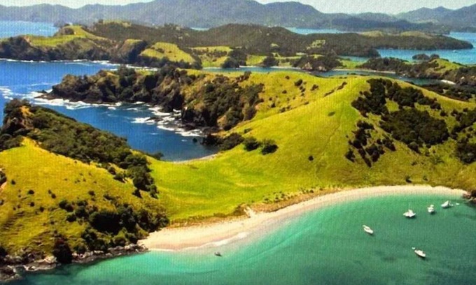 Paihia Resort | Club Paihia Resort 1