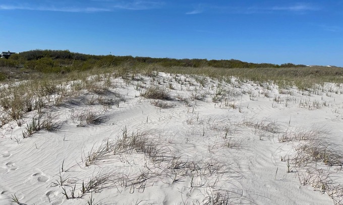 Southend Condo | Coastal Charm Meets Cozy Comfort - 1BR Beachside Beauty!