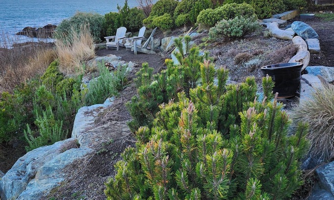 Juan de Fuca Electoral Area Apartment | Coastal Dream Waterfront Breathtaking Sanctuary Cocooned by Sea, Sky, Mountains