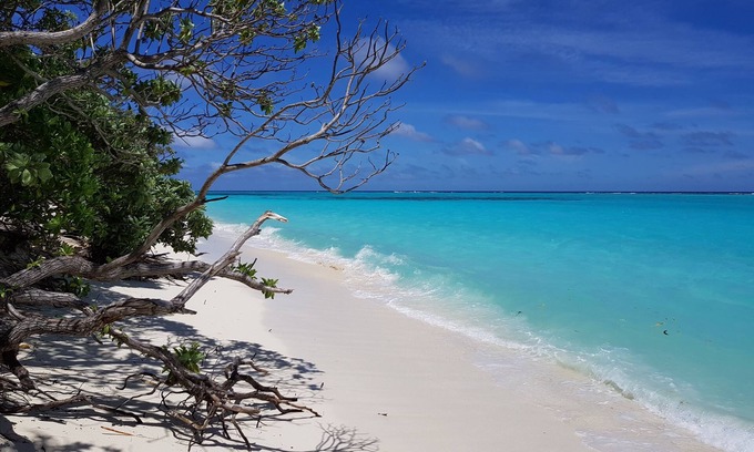 Thoddoo Hotel | Coco Villa