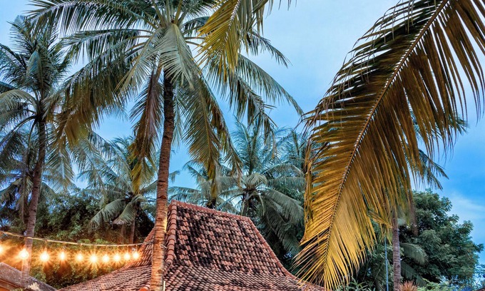 Gili Trawangan Hotel | Coconut Garden Resort