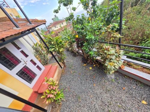 Stuart Hill House | Coffee cottage guest house