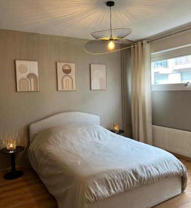 Annemasse Apartment | Coloc Chambre privée meublée dans un appartement lumineux et spacieux