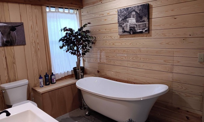 Harrison Cabin | Come & enjoy your stay in our Barndomiinium near Buffalo National River/Hiking