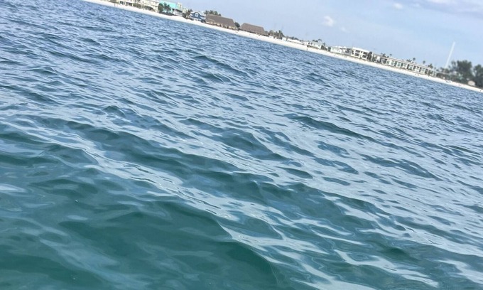 Sunny Shores Boat Rental | Come stay on the bay by the sea!
