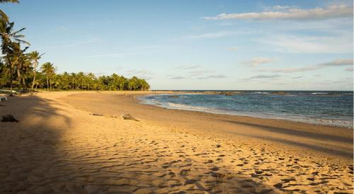 Jaua Apartment | Comfort and Beach on the Bahia Coast