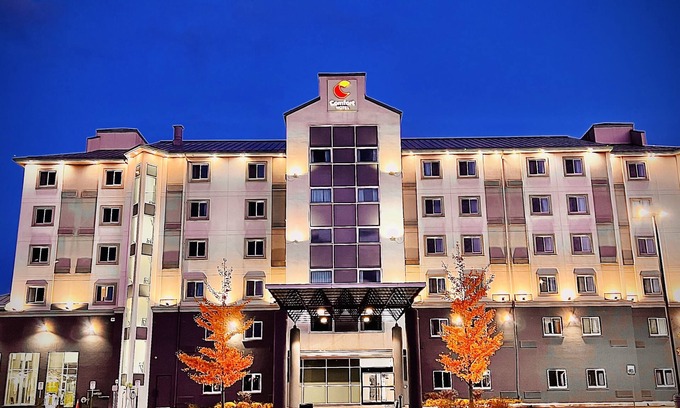 Niagara Falls Hotel | Comfort Hotel