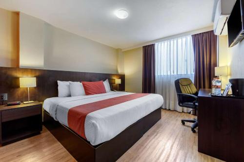 San Luis Potosi Hotel | Comfort Inn San Luis Potosi