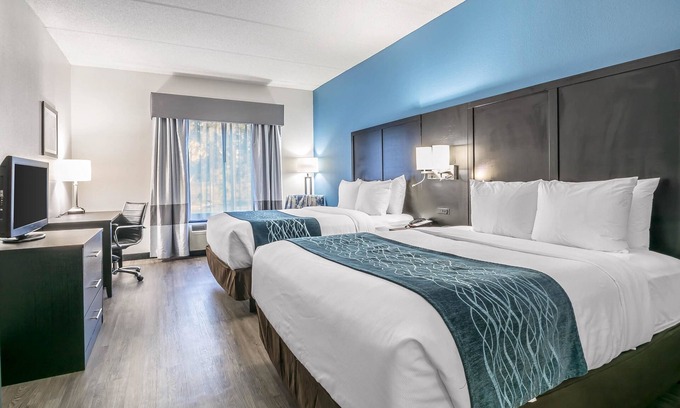 Gainesville Hotel | Comfort Inn University