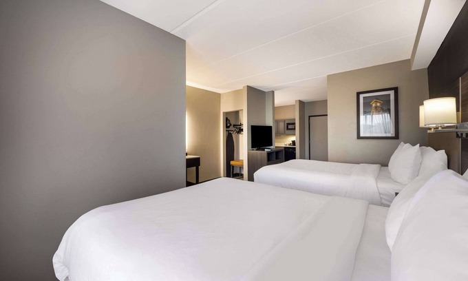 Paw Creek Hotel | Comfort Suites Northlake