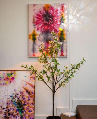 Caulfield North Apartment | Comfortable 3BR Apt in Heart of Caulfield North