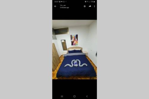 Majdal al-Shams Apartment | comfy snow night 1