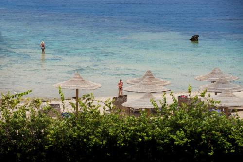 Marsa Alam Resort | Concorde Moreen Beach Resort