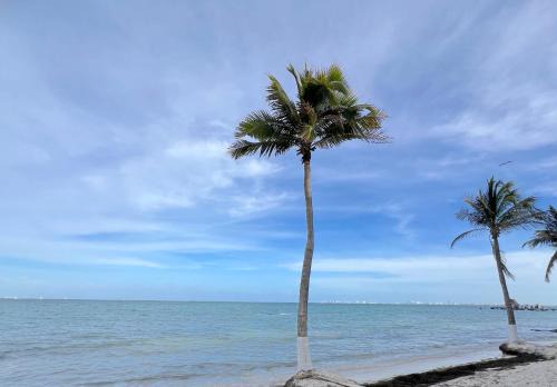 Puerto Juarez Apartment | Condominiums By The Sea