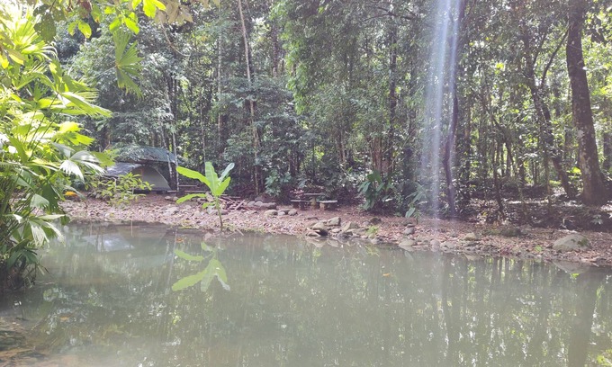 Ballena Hotel | Cool Waters Jungle Camping