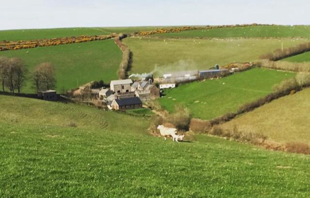 Lynton Bed & Breakfast | Coombe Farm
