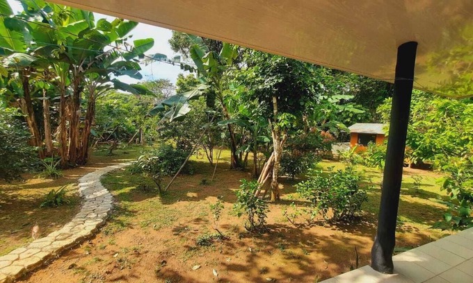 Los Planes Cabin | corcovado green parrot