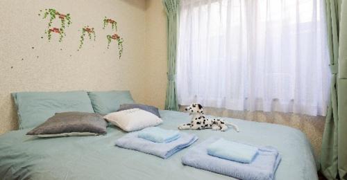 Kamitakaido Apartment | Cosmo Mercy N-1/Vacation STAY 12990