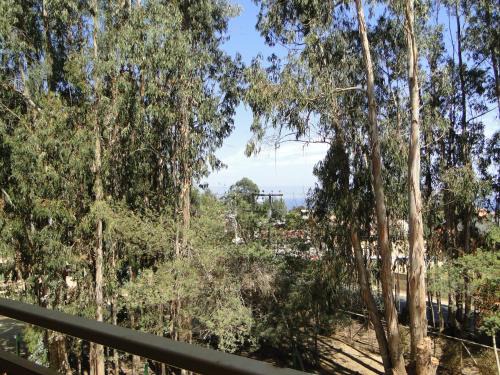 Yeco Apartment | COSTA ALGARROBO