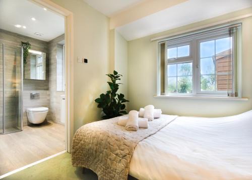 Cambridge Apartment | Cosy 1 bed Home Opposite Addenbrookes Hospital - Free Parking