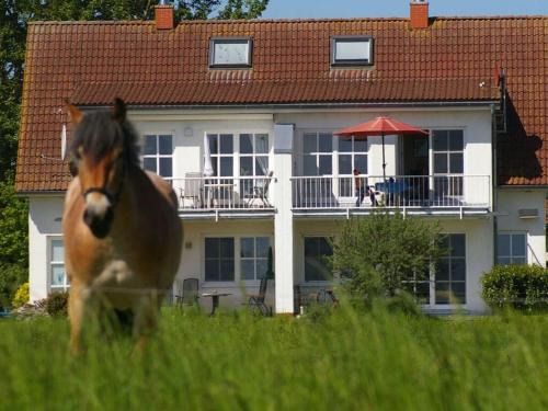Zudar Apartment | Cosy apartment in Garz