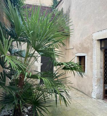 Auxerre Apartment | Cosy appartement Hyper centre ville avec cour + Patio