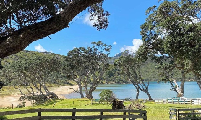 Great Barrier Island House | Cosy beach house meters from Okupu Bay