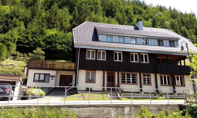 Menzenschwand-Hinterdorf Apartment | Cosy flat in St. Blasien in the Black Forest with balcony and private terrace