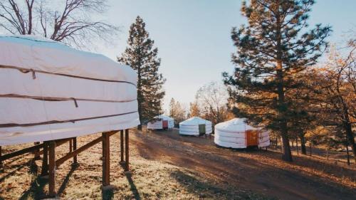 Dunlap House | Cosy yurt at a nature retreat in CA