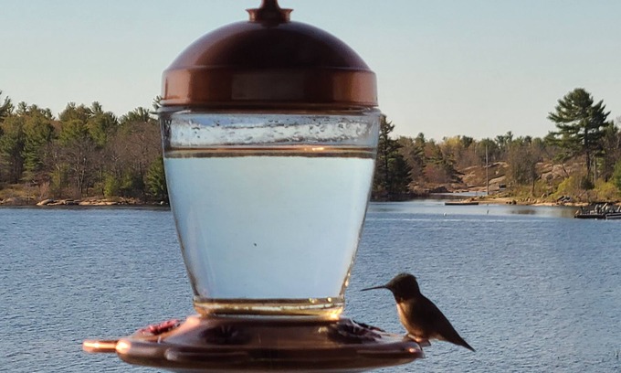 Carling Cabin | Cottage #5 - 3 Bedroom at Katawoda Cottages