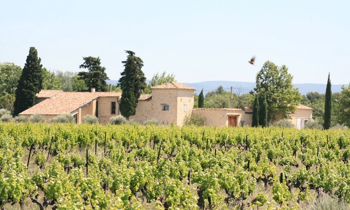 Caromb Cottage | Cottage 6-8 people, swimming pool, in the heart of a vineyard, at the foot of Ventoux Provence
