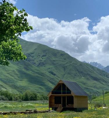 Kazbegi Apartment | Cottage AISI/კოტეჯი აისი