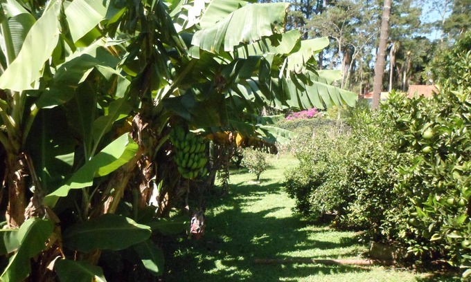 Vargem Grande Paulista House | Cottage for rent for WEEKENDS AND HOLIDAYS