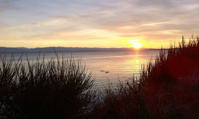 Fairfield Cottage | Cottage By The Beach/Dallas Road! Pet friendly
